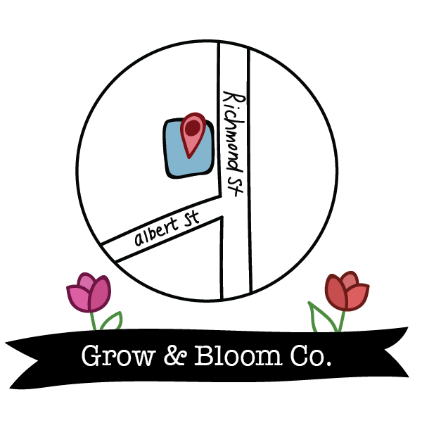 Local business - Grow & Bloom Co.